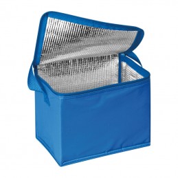 COOLER Geanta frigorifica pentru 6 cutii de 0,5 L 67104 Albastru