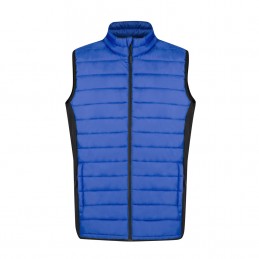 Vesta. Toret. BLUE